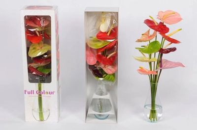 顏值與內涵并存——GET這份“崇明版”新年伴手禮清單，讓禮品花卉傳遞新春祝福