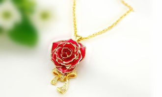 黛雅鍍金真玫瑰花項鏈花朵吊墜女飾品首飾長款鎖骨項鏈女友禮物 款式八 廠家直銷圖片,黛雅鍍金真玫瑰花項鏈花朵吊墜女飾品首飾長款鎖骨項鏈女友禮物 款式八 廠家直銷高清圖片