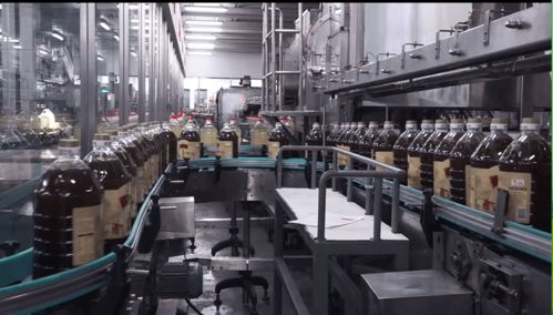 云賞金龍魚蝦田稻，共憶香韻外婆情