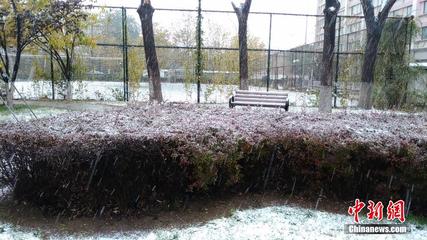 初雪輕揚(yáng)京城 銀裝素裹迎冬來(lái)